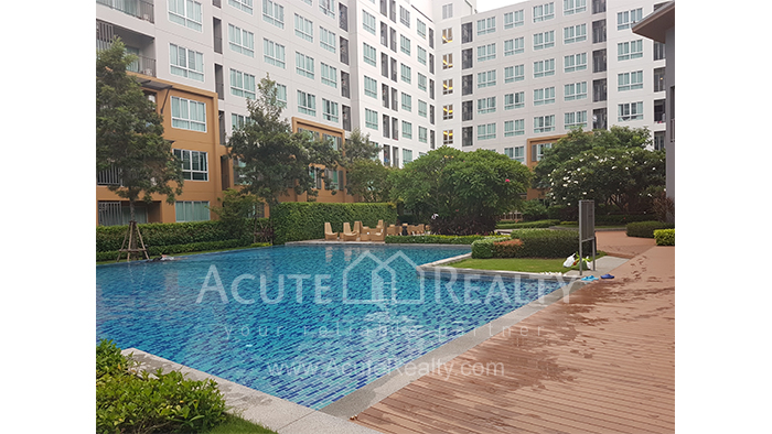 condominium-for-rent-Dcondo-Nim-C-170711-001