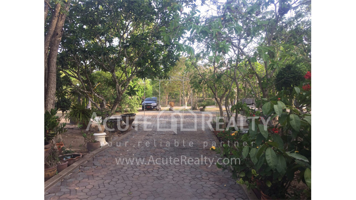 house-land-for-sale-HL-590630-02