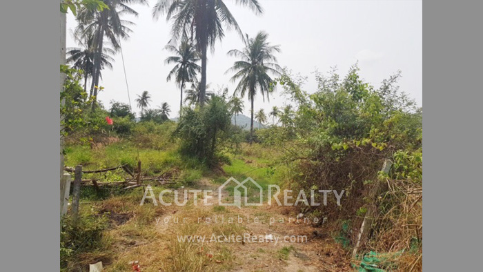 land-for-sale-L-610804-0004