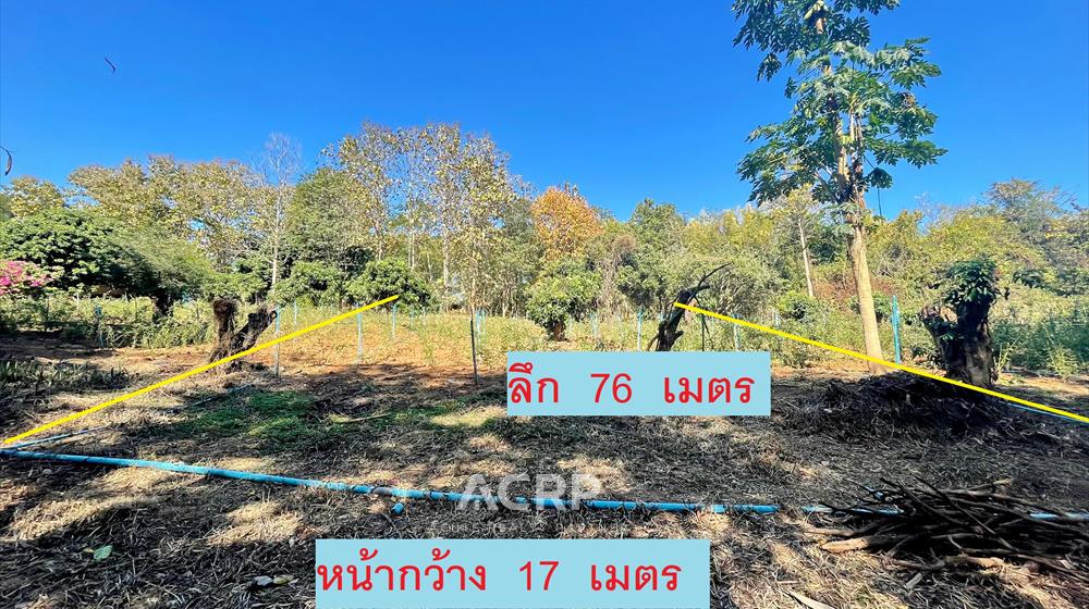 ที่ดิน-เพื่อขาย-L-650103-0002