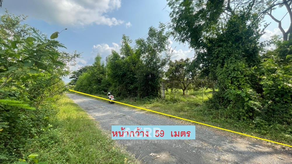 ที่ดิน-เพื่อขาย-L-650502-0001