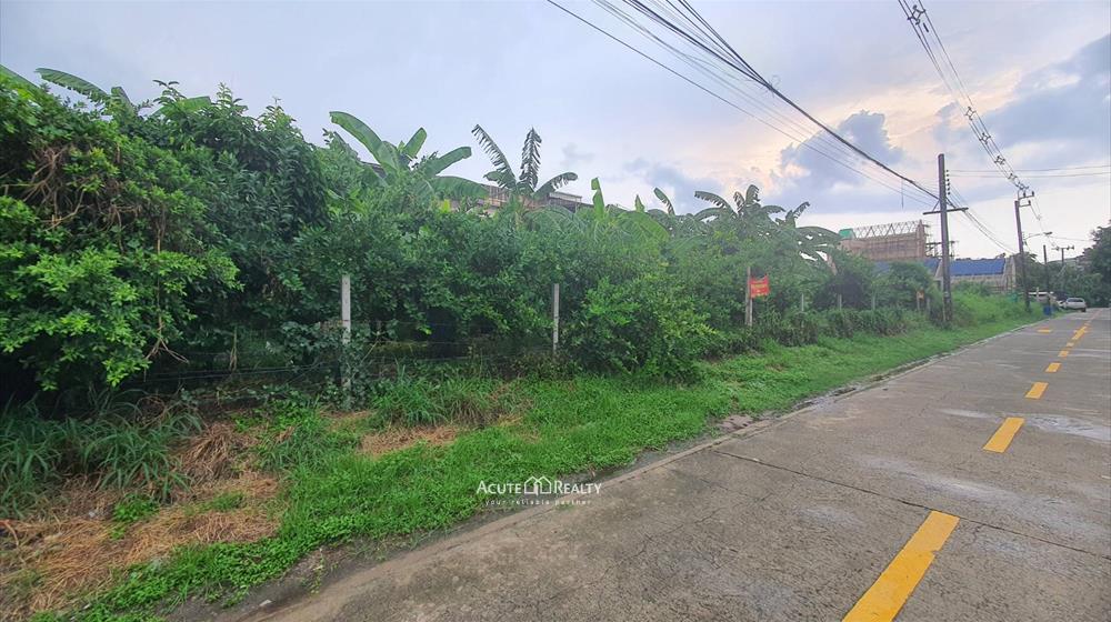 ที่ดิน-เพื่อขาย-L-650606-0001