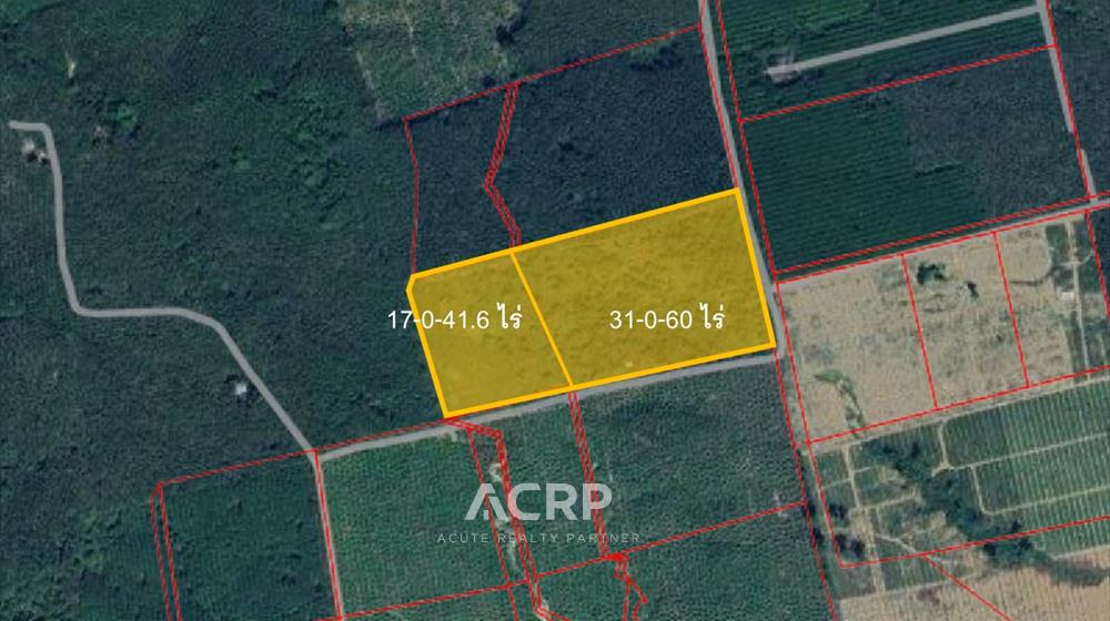 ที่ดิน-เพื่อขาย-L-690310-0006