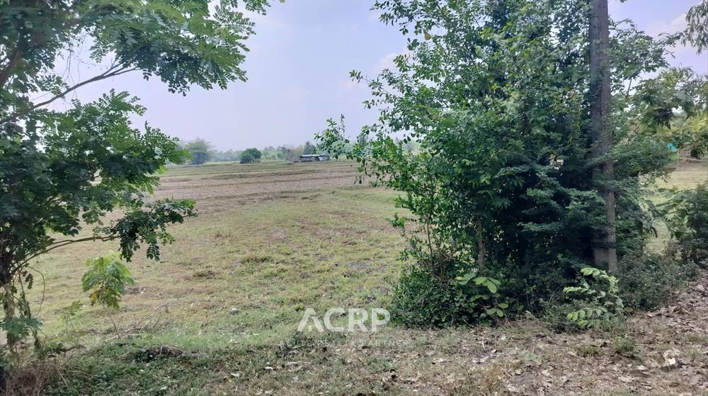 land-for-sale-L-690402-0002